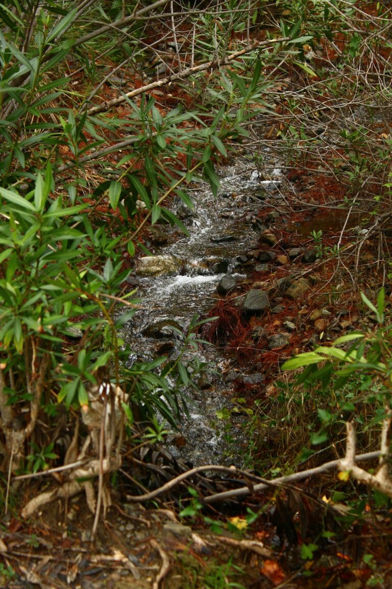 Estratégias Avançadas para Prevenção de Inundações
