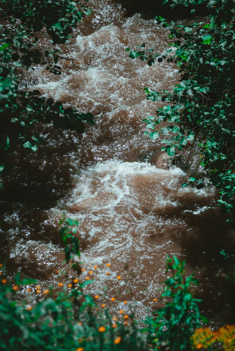 Estudos Hidrológicos: Entenda Sua Relevância em Projetos