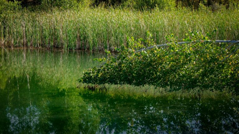 Soluções Sustentáveis para Infraestruturas Condominiais